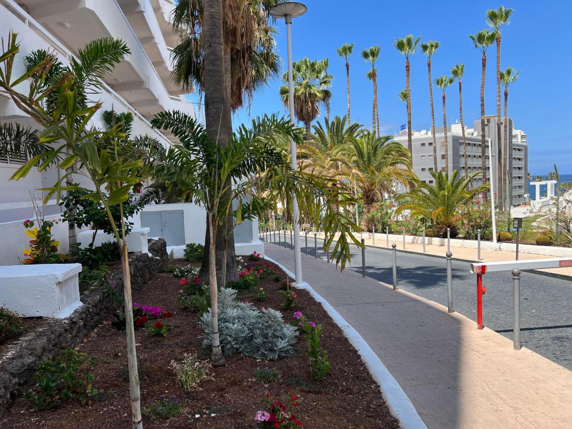 Tenerife Sea View 216 Aparthotel Playa Feñabe Exteriör bild